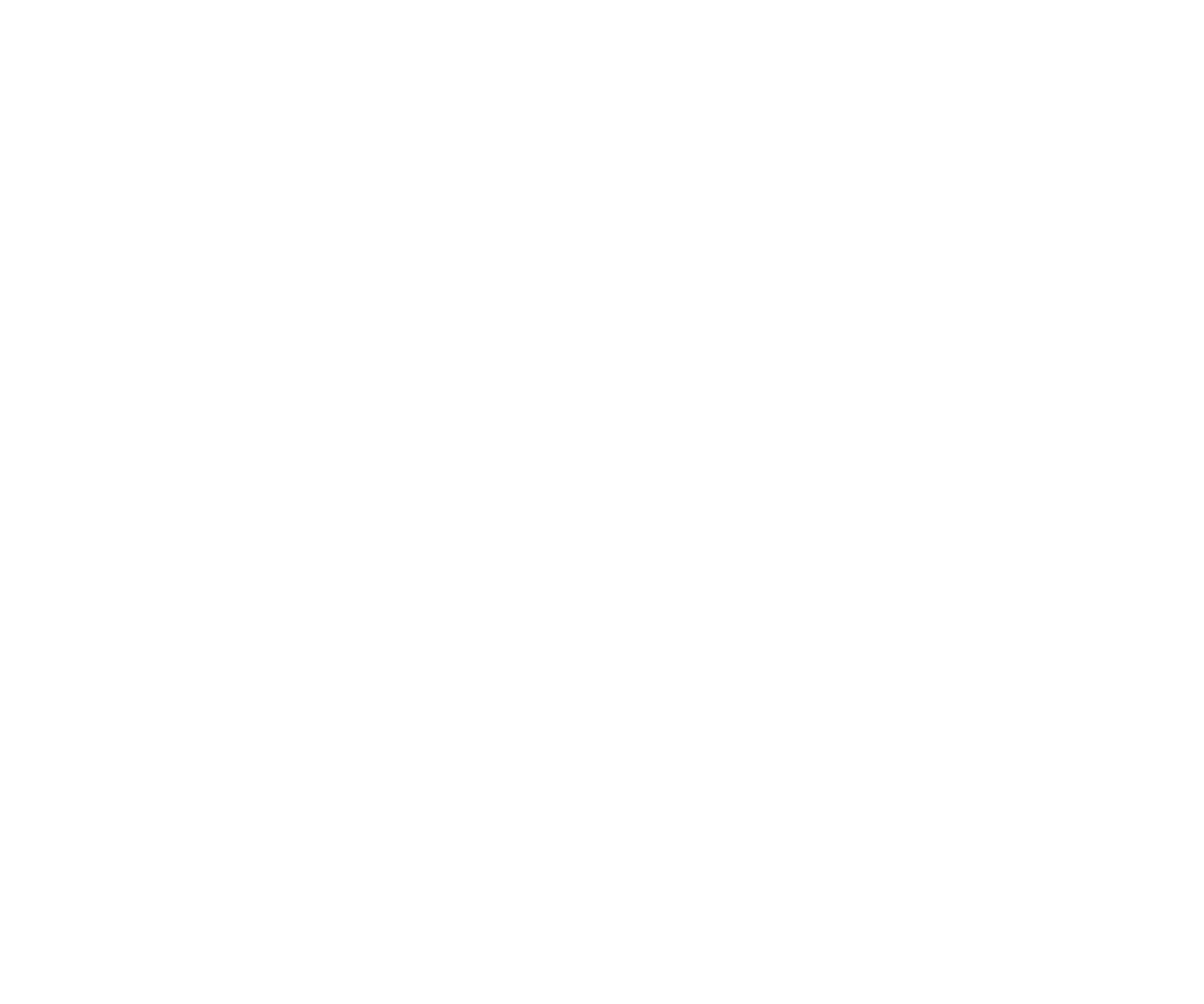 Logo Raakpunt wit